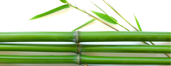 Натуральный бамбук в оформлении интерьера