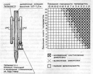 Термометры и диаграмма для определения возможности заморозков