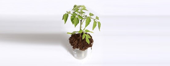 Улучшаем почву